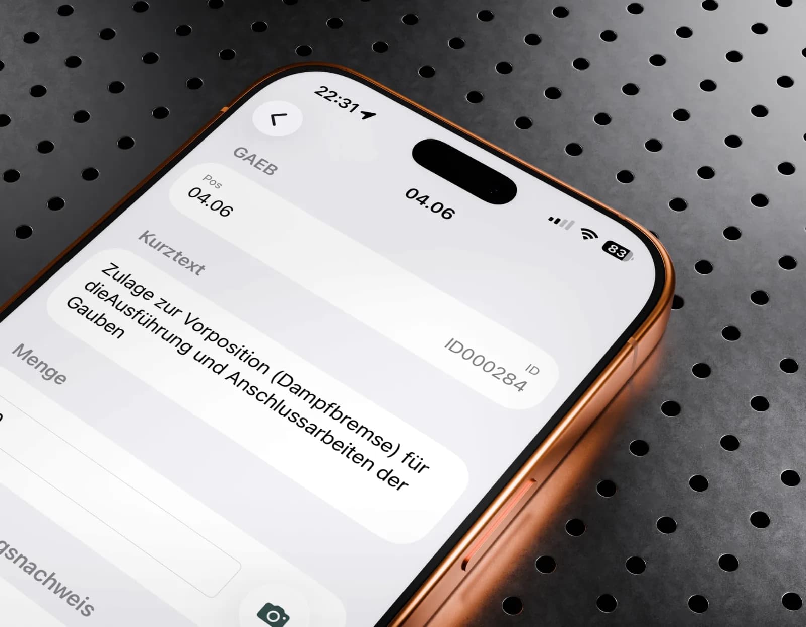 GAEB-Position 04.06 in der PixAtlas App: Kurztext, Menge mit Foto-Nachweis, Notiz mit Schnellwahl Sichtprüfung und Gereinigt